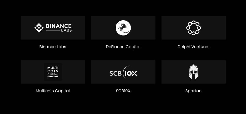 Các nhà đầu tư của Alpha Finance Lab (Stella), bao gồm Binance Labs, Multicoin Capital và Delphi Ventures