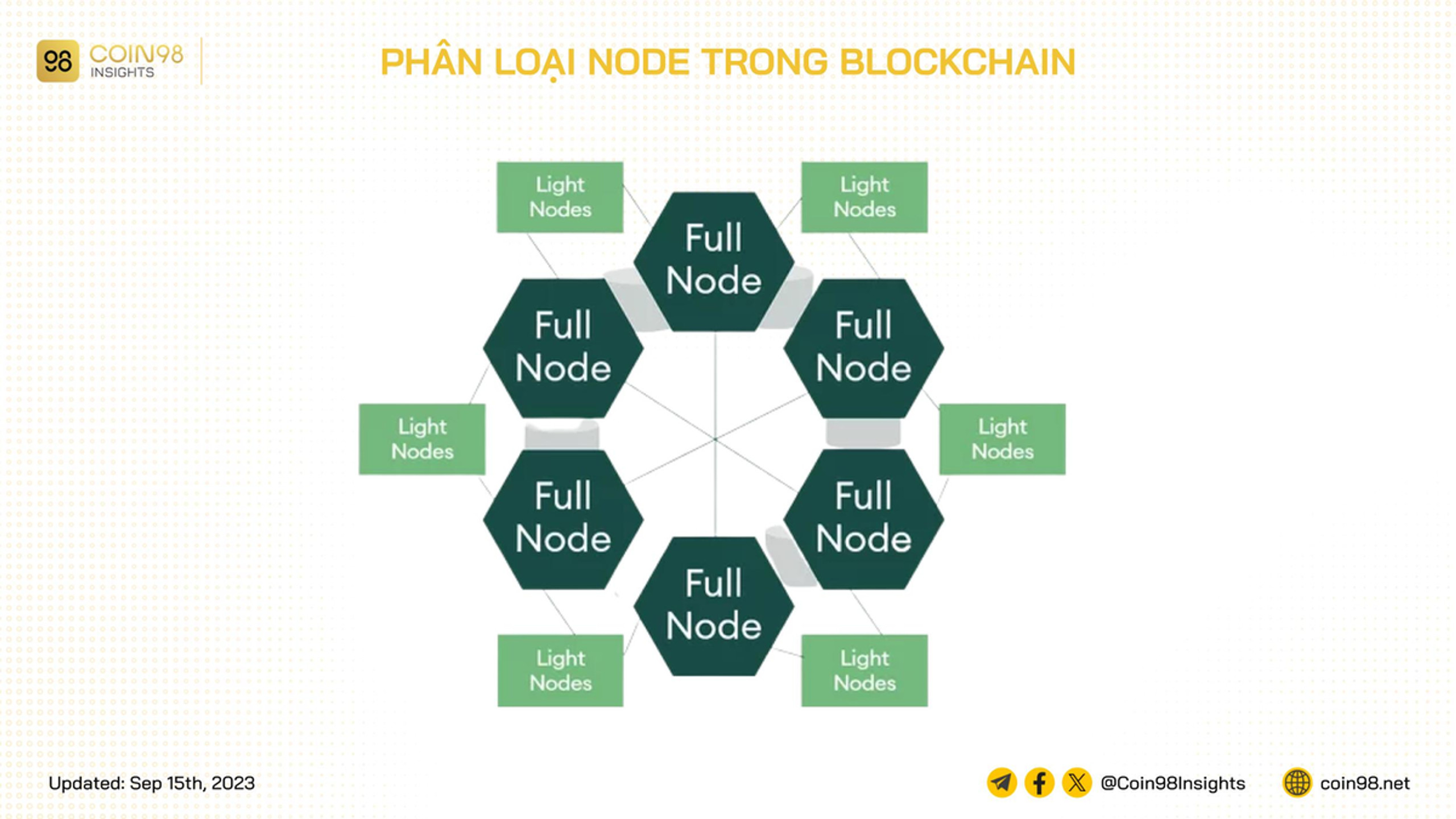 Phân loại node blockchain: Full Node &amp; Light Node